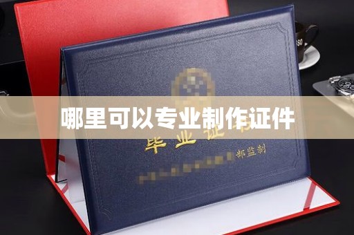 承德哪里可以专业制作证件