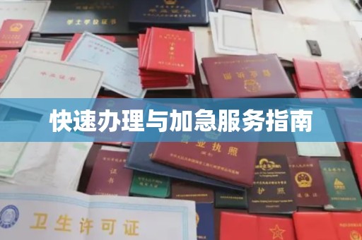 承德快速办理与加急服务指南